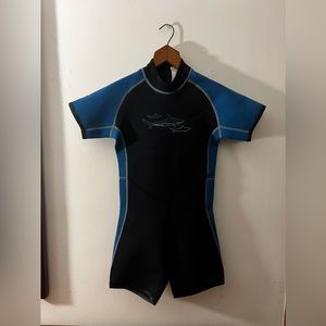 Large, L.L. Bean Camaro wetsuit nwot